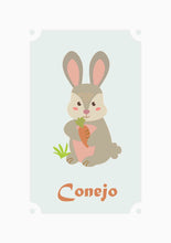 Load image into Gallery viewer, Conejo
