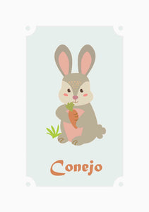 Conejo