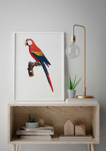 Load image into Gallery viewer, Parrot Ara Canga 
