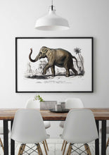 Load image into Gallery viewer, Asian elephant 
