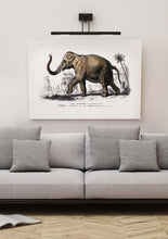 Load image into Gallery viewer, Asian elephant 
