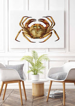 Load image into Gallery viewer, Red crab 
