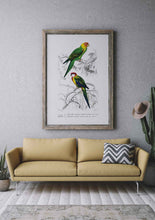 Load image into Gallery viewer, birds I
