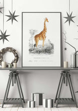 Load image into Gallery viewer, Giraffe 

