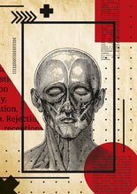 Load image into Gallery viewer, head anatomy III
