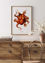 Load image into Gallery viewer, Octopus I 
