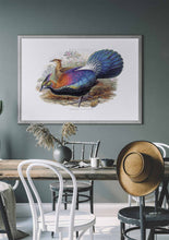 Load image into Gallery viewer, Himalayan Monal Pheasant 
