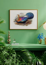 Load image into Gallery viewer, Himalayan Monal Pheasant 
