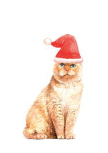 Load image into Gallery viewer, Gato Papa Noel
