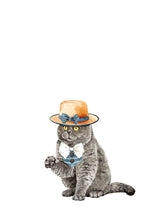 Load image into Gallery viewer, Gato con sombrero
