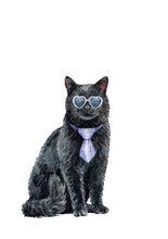 Load image into Gallery viewer, Gato con corbata
