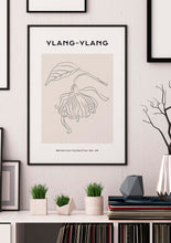 Load image into Gallery viewer, Ylang-Ylang
