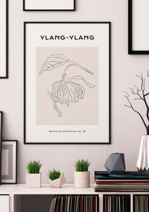 Ylang-Ylang