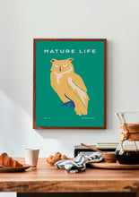 Load image into Gallery viewer, Nature Life: Owl
