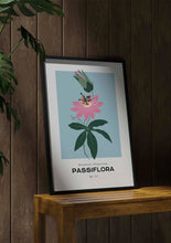 Load image into Gallery viewer, Passiflora
