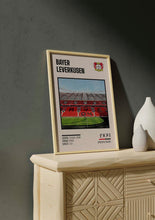 Load image into Gallery viewer, Estadio Bayarena
