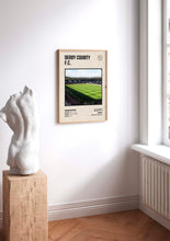 Load image into Gallery viewer, Estadio Pride Park
