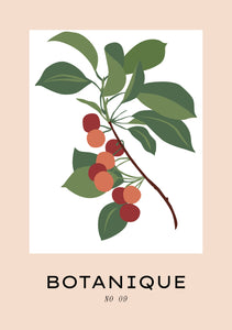 Simple Botanic