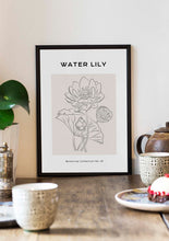 Load image into Gallery viewer, Water Lily
