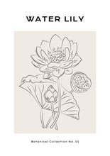 Load image into Gallery viewer, Water Lily
