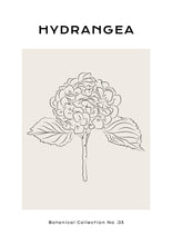 Load image into Gallery viewer, Hortensias
