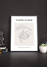 Load image into Gallery viewer, Ylang-Ylang
