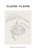 Load image into Gallery viewer, Ylang-Ylang
