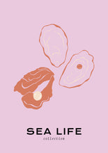 Load image into Gallery viewer, Sea Life: Oysters
