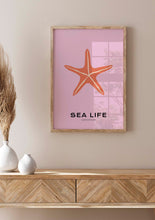 Load image into Gallery viewer, Sea Life: Starfish
