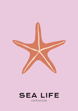 Load image into Gallery viewer, Sea Life: Starfish
