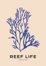 Load image into Gallery viewer, Reef Life: Blue Coral
