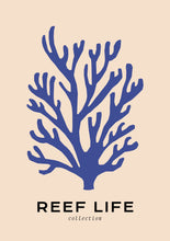 Load image into Gallery viewer, Reef Life: Seaweed
