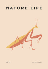 Load image into Gallery viewer, Nature Life: Praying Mantis
