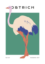 Load image into Gallery viewer, Ostrich
