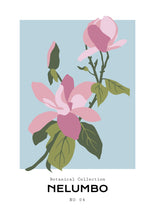 Load image into Gallery viewer, Nelumbo
