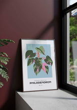 Load image into Gallery viewer, Philodendron
