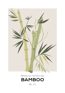 Bamboo