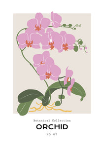 Orchid