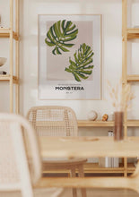 Load image into Gallery viewer, Monstera
