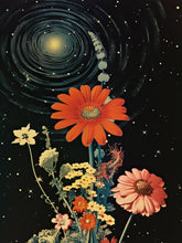 Load image into Gallery viewer, Flores que Sueñan el Cosmos
