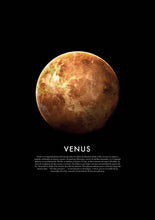 Load image into Gallery viewer, Comprar decoracion Venus
