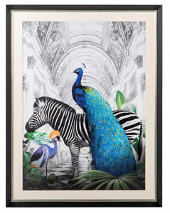 peacock and zebra 