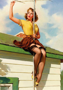 Pin Up Roof